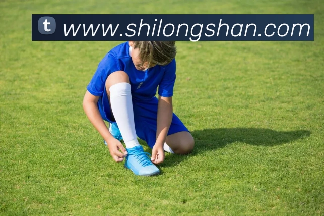 App Interface Preview